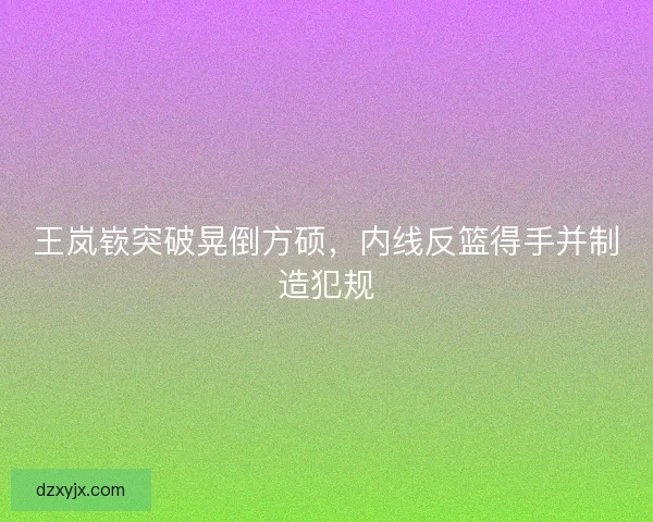 王岚嵚突破晃倒方硕，内线反篮得手并制造犯规