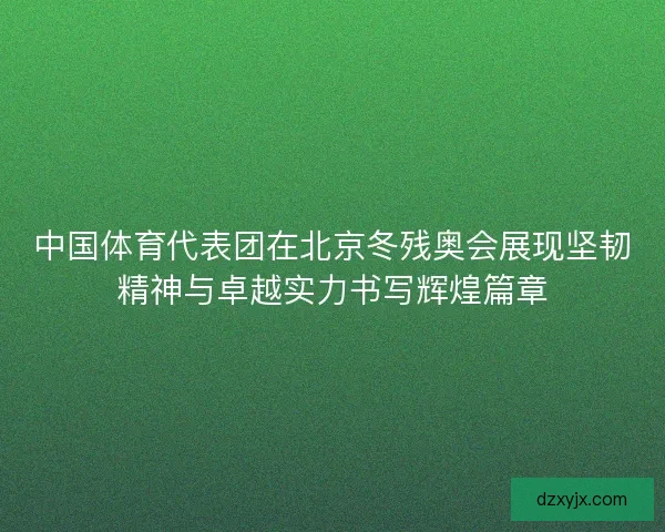 中国体育代表团在北京冬残奥会展现坚韧精神与卓越实力书写辉煌篇章