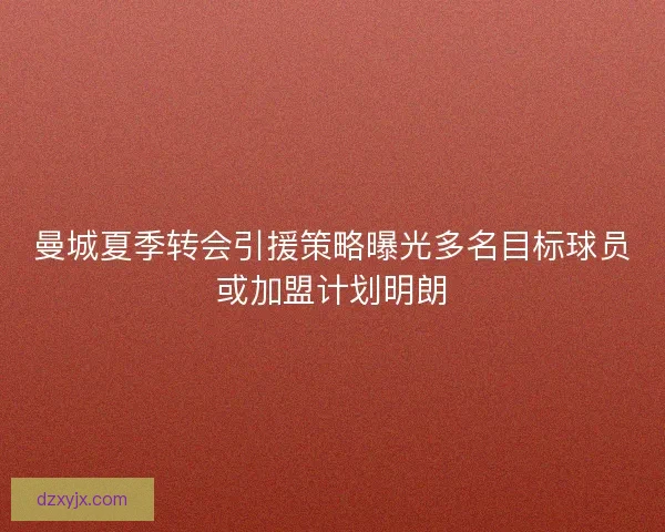 曼城夏季转会引援策略曝光多名目标球员或加盟计划明朗 曼城夏季转会引援策略曝光多名目标球员或加盟计划明朗